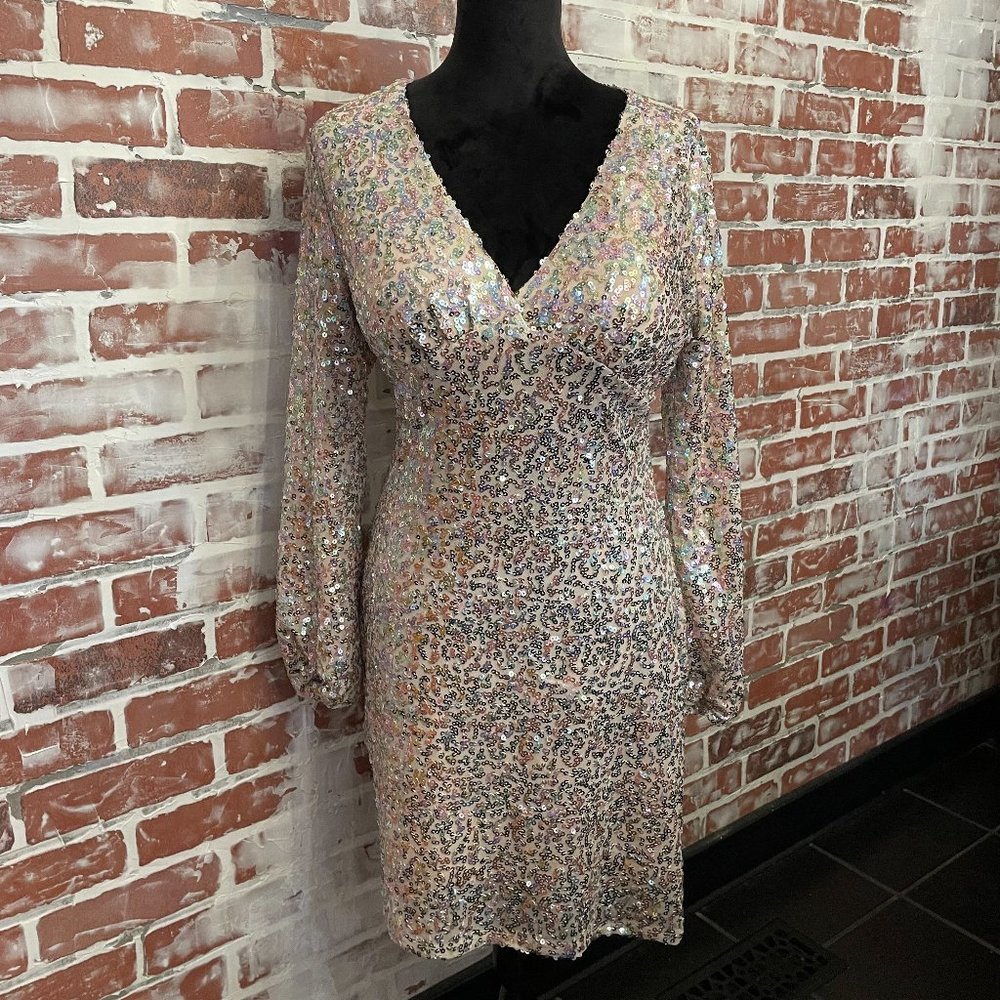 Rose Sequin Dress